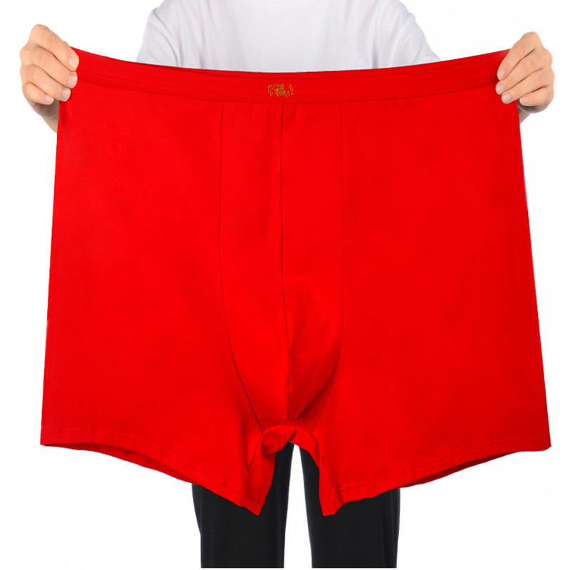 Puur Katoenen Ondergoed Mannen - Boxer Brief Pack Cotton recensie en prijs