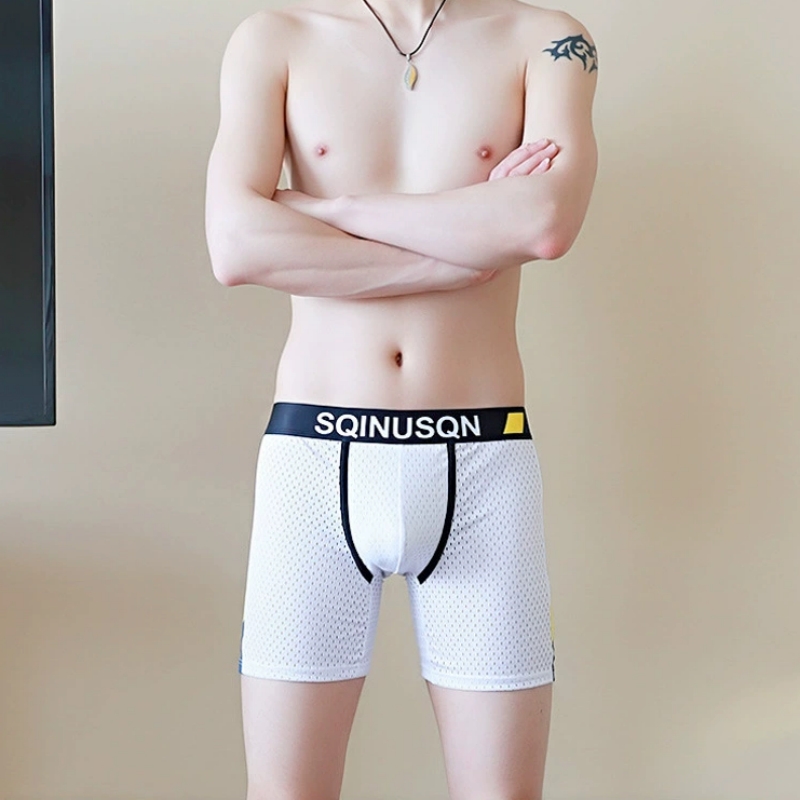 Heren Ice Silk Mesh Boxer Shor - Long Leg Trunk Men recensie en prijs