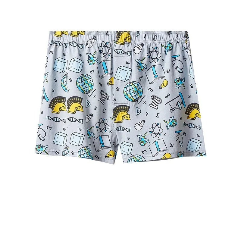 Heren Boxers Katoen Aro Broek  - Boxer Brief Pack Cotton recensie en prijs